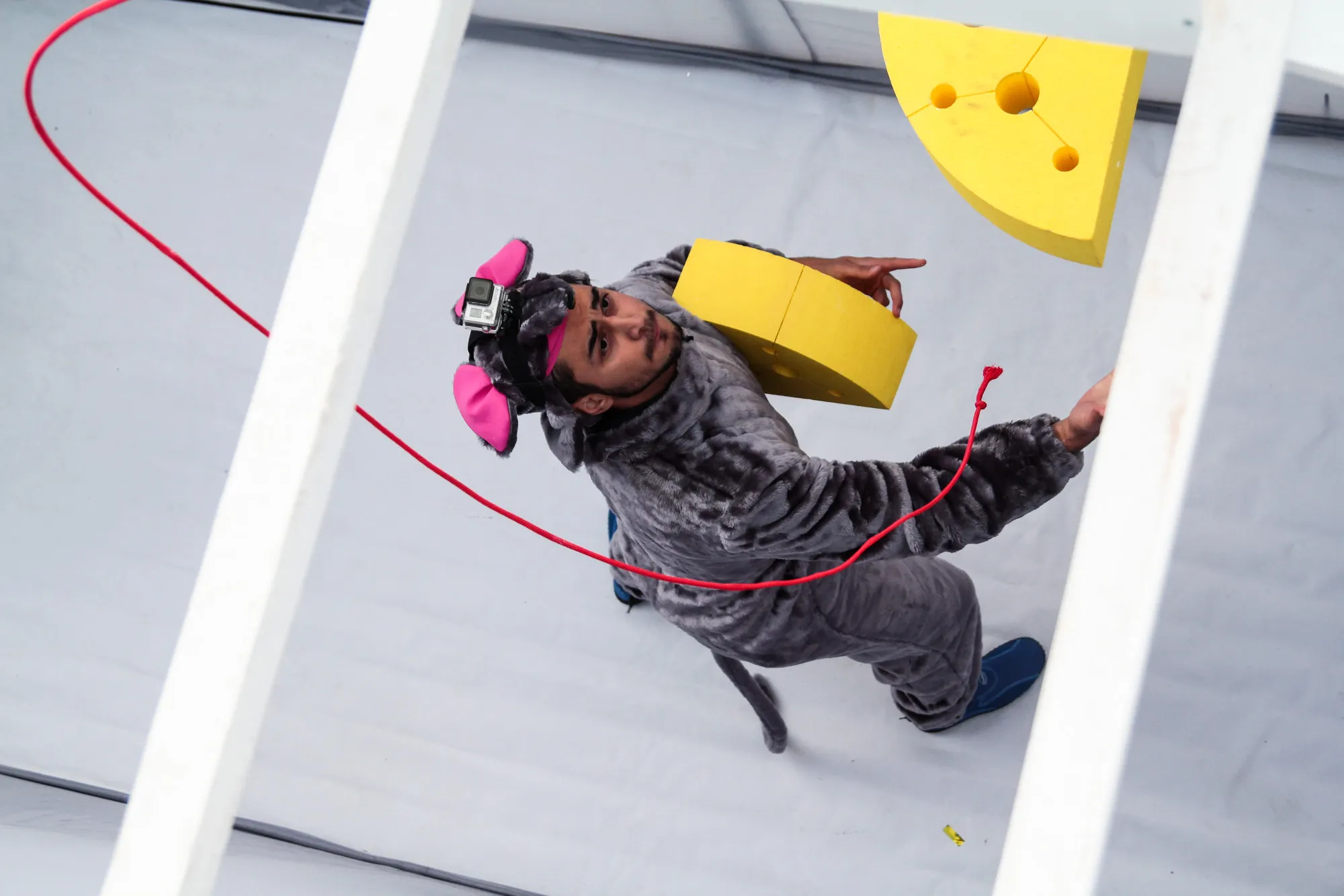 Peliukai prie „Žalgirio“ arenos ieškojo pinigų