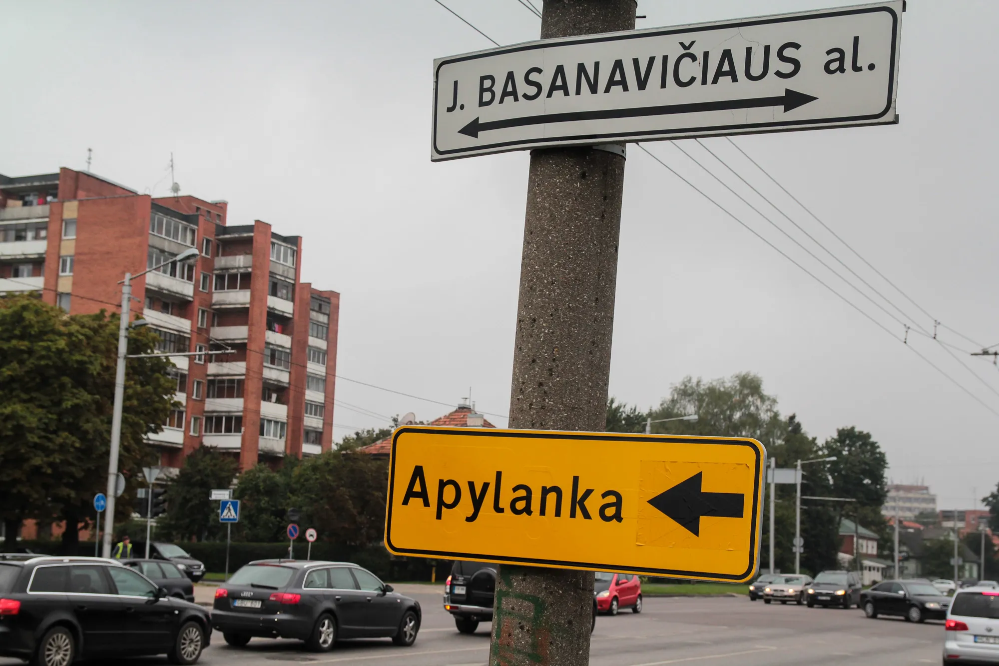 J. Basanavičiaus alėja
