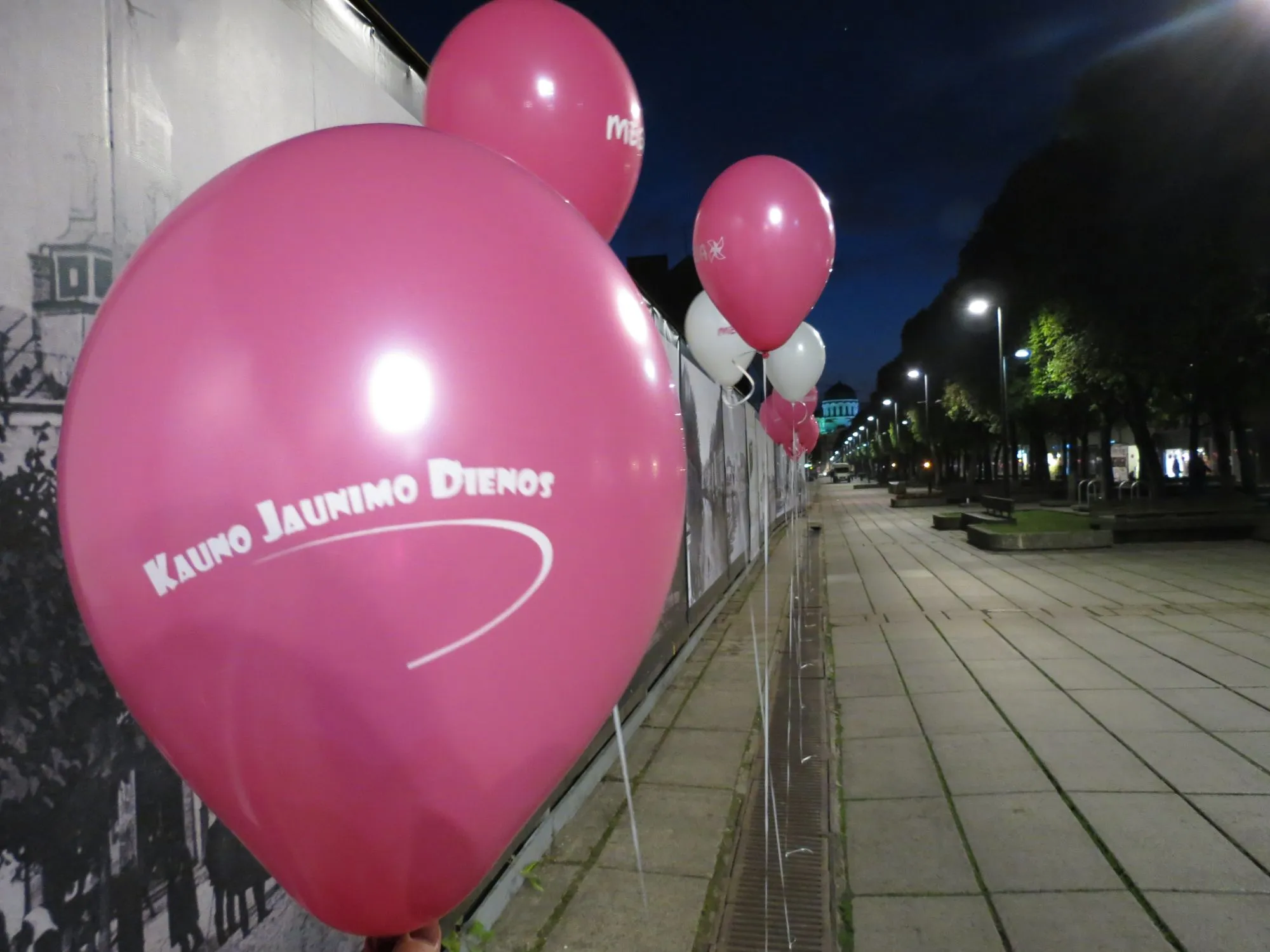 Kauno jaunimo dienos 4