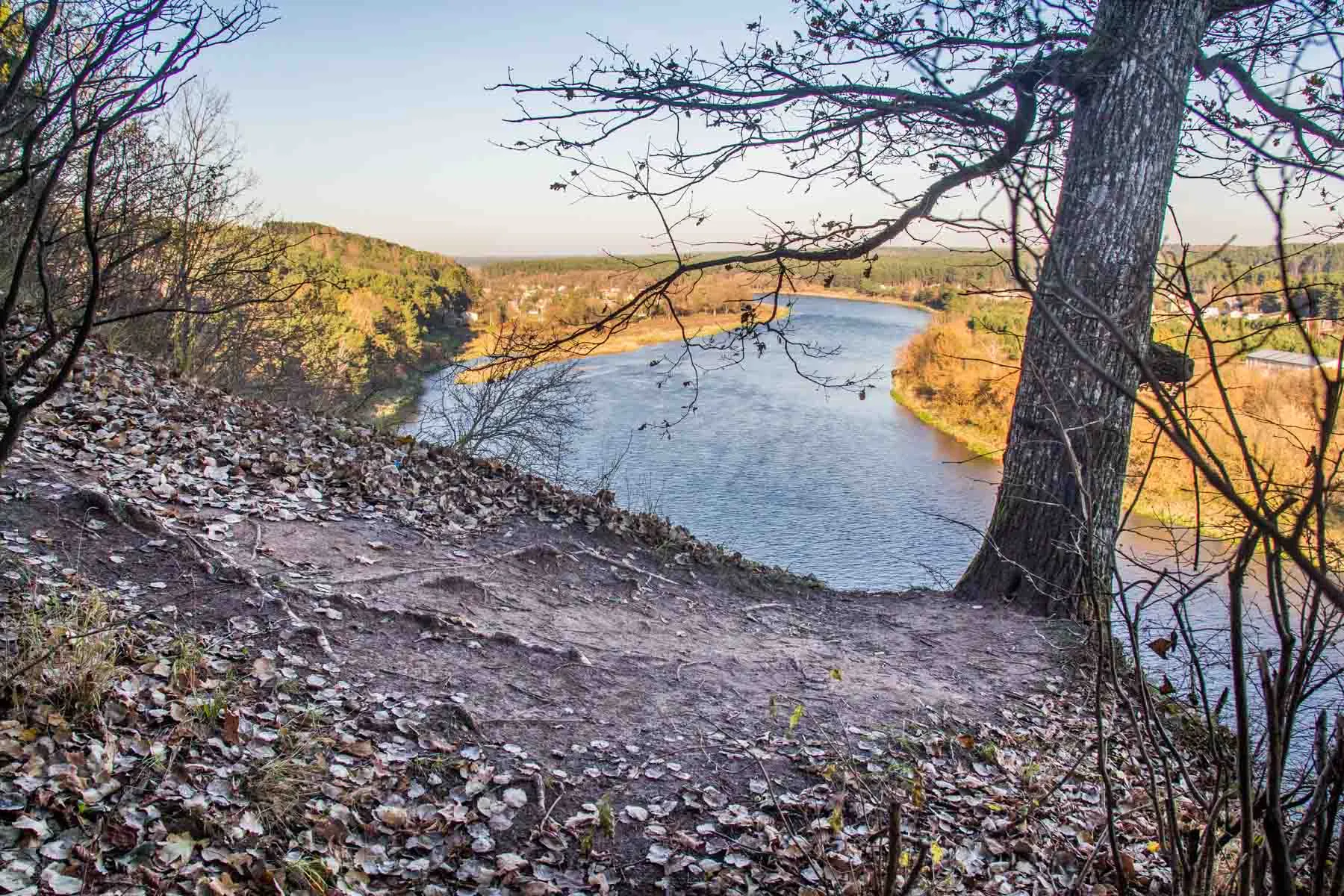 Drąseikių atodanga