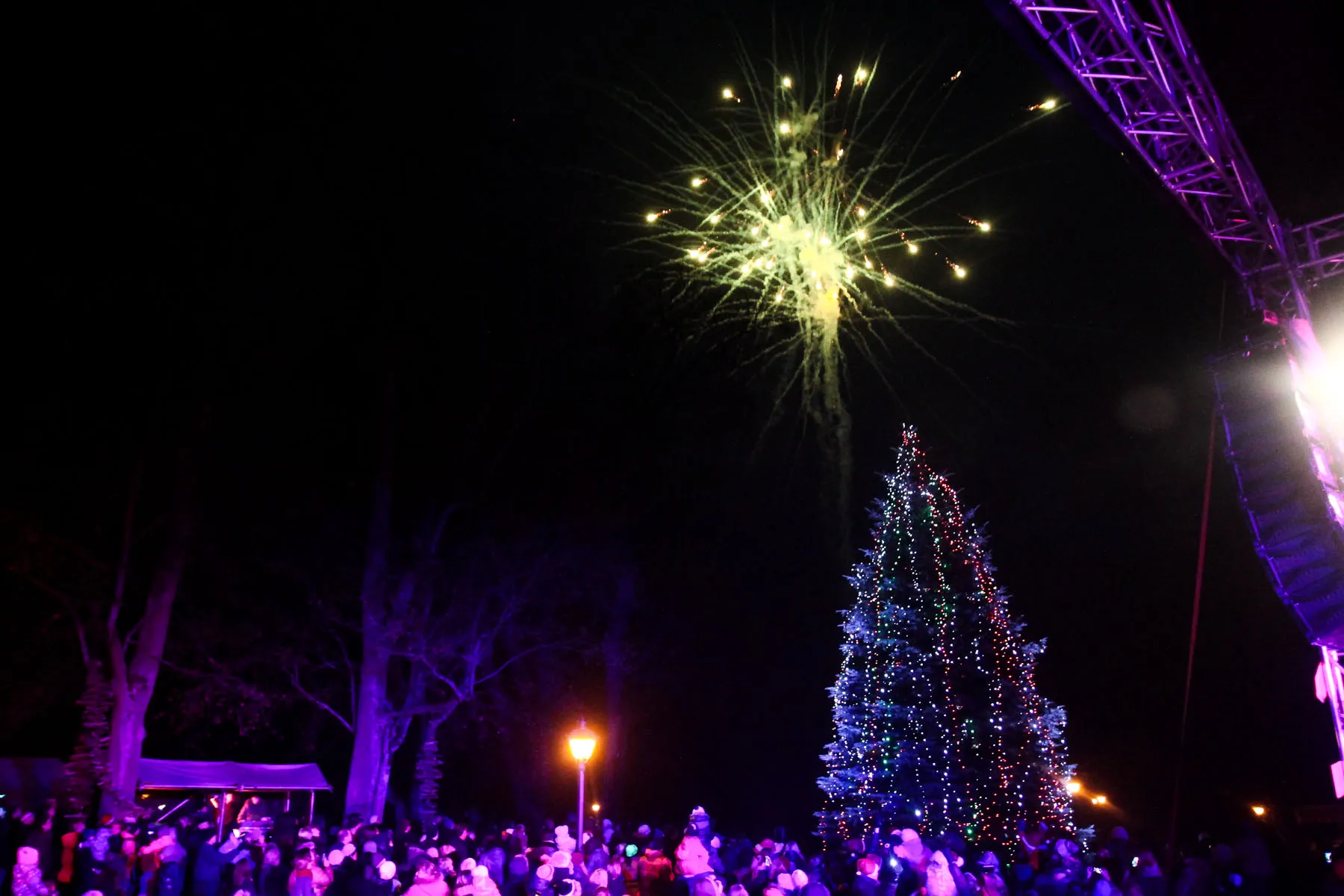 Įžiebta Kauno rajono eglutė