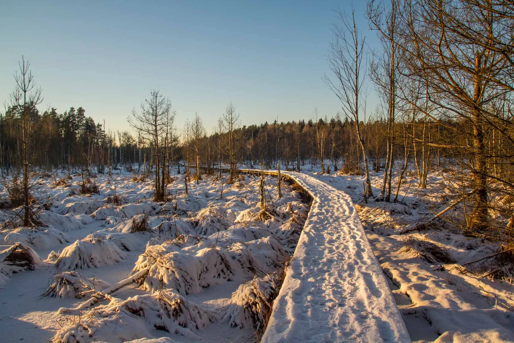 Dubravos pažintinis takas žiemą