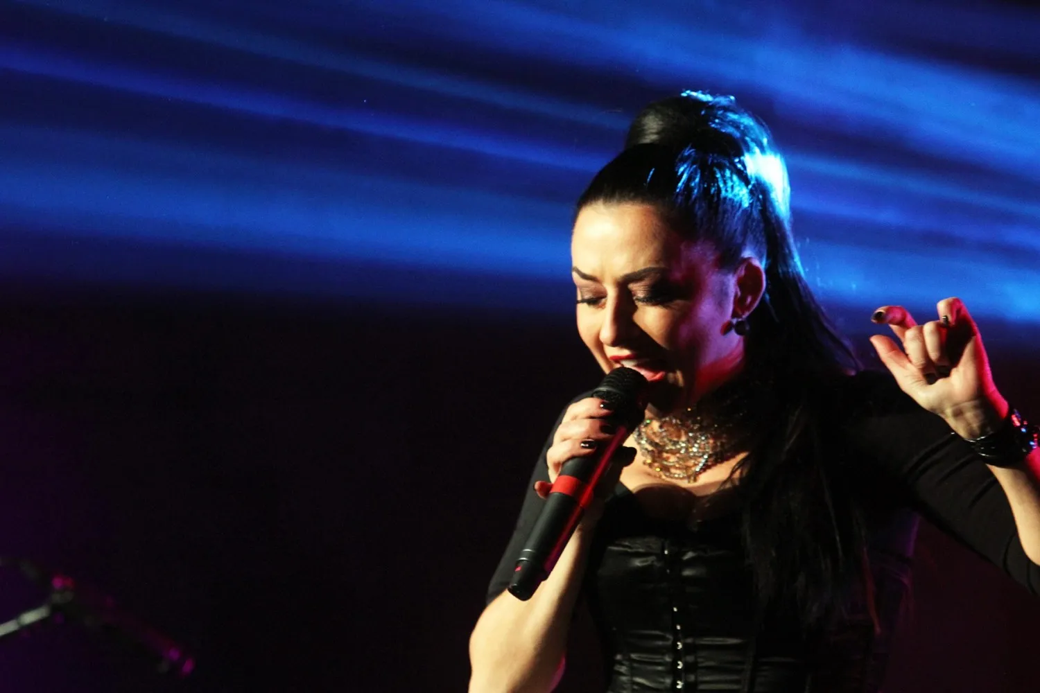 Irmos Jurgelevičiūtės koncertas Kaune