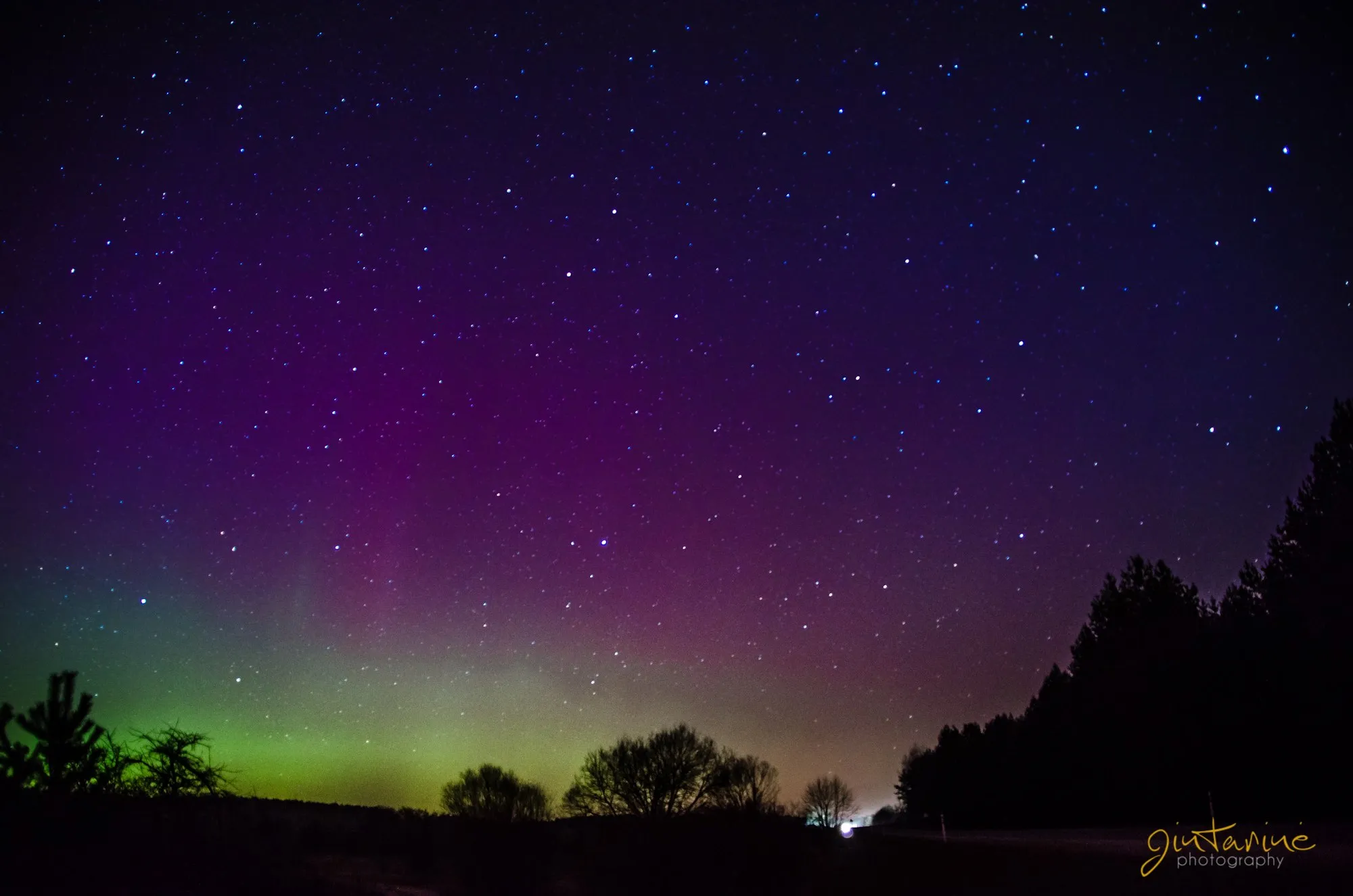 Šiaurės pašvaistė Domeikavoje