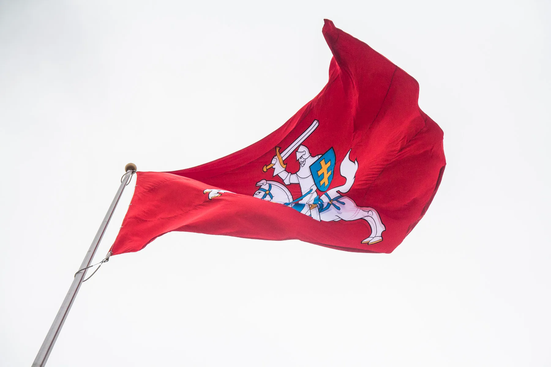 Vyčio vėliava Kauno pilyje