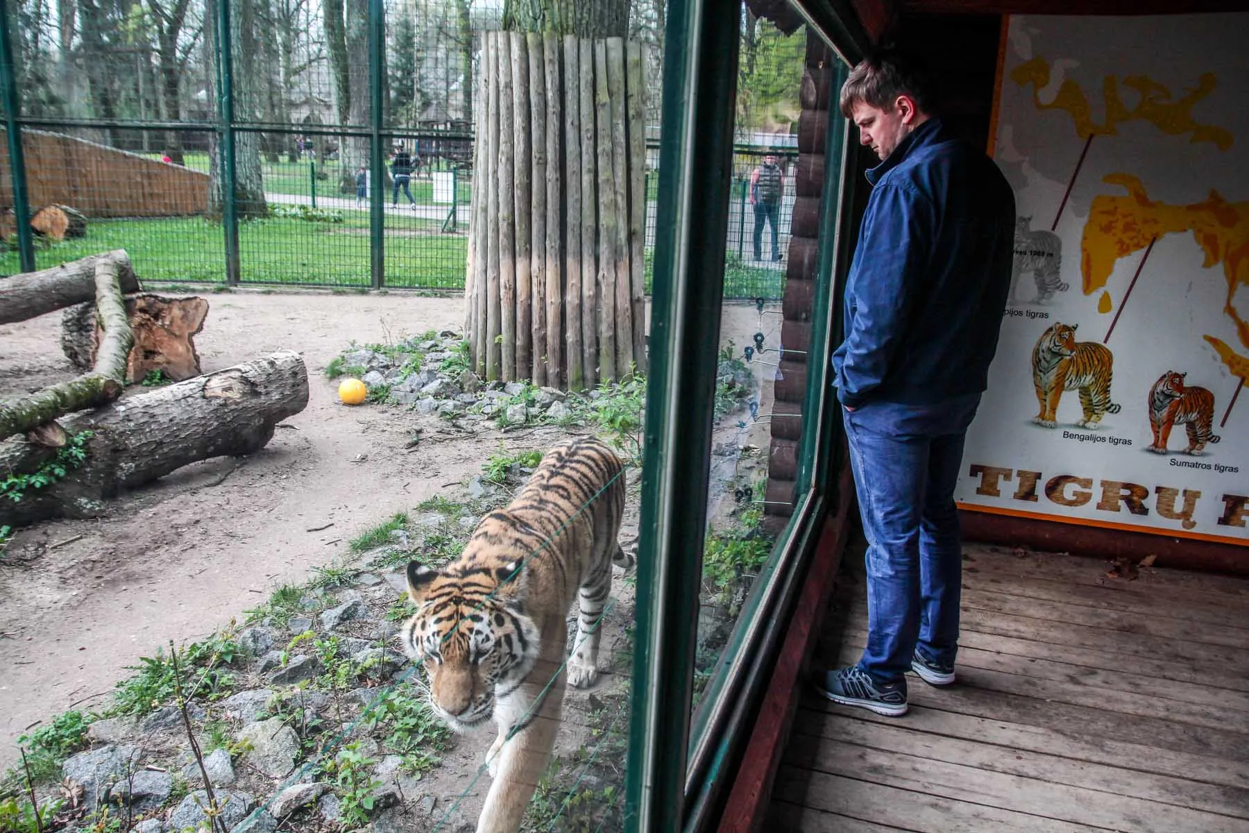 Lietuvos zoologijos sode atidarytas naujas sezonas