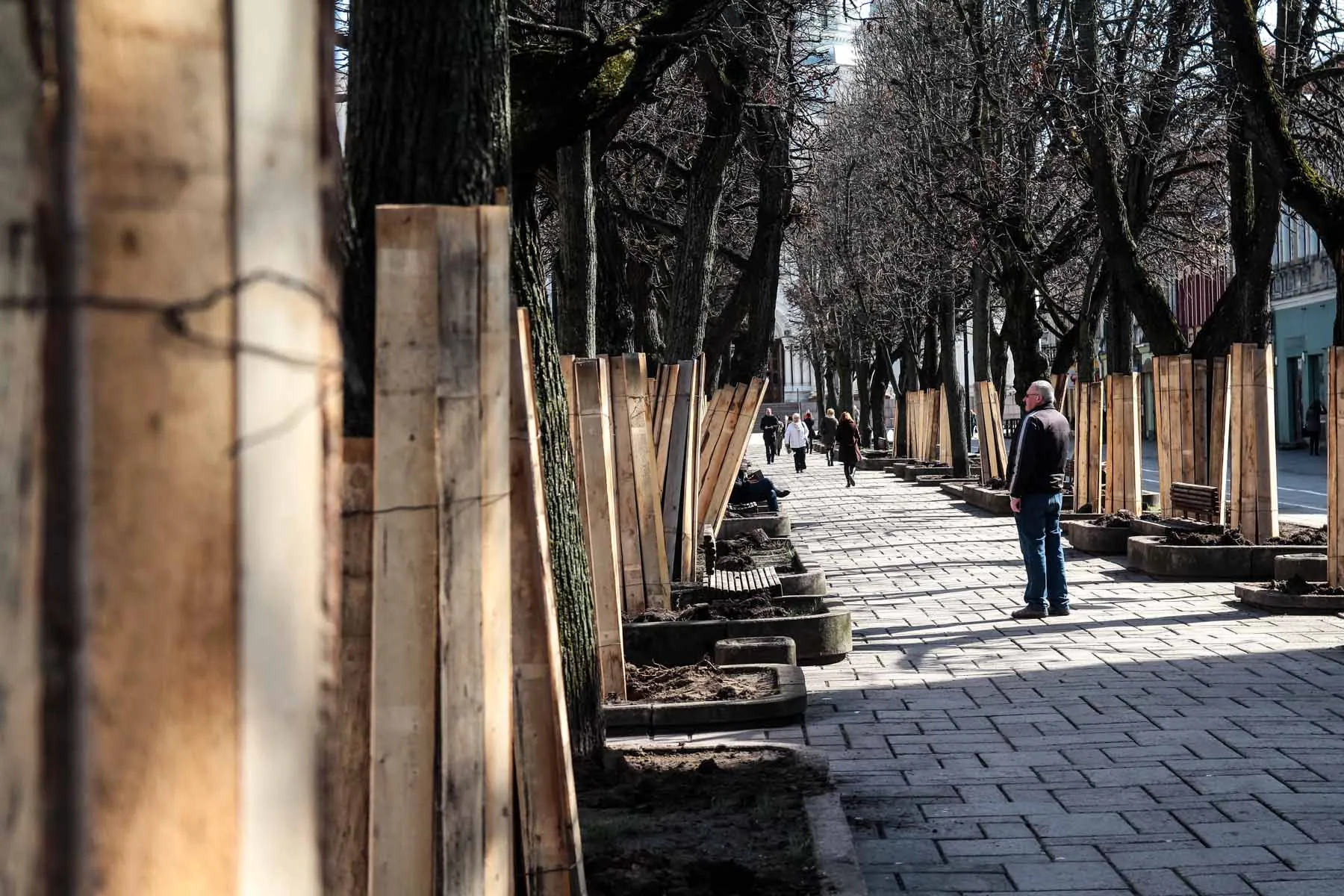 Laisvės alėjos rekonstrukcija