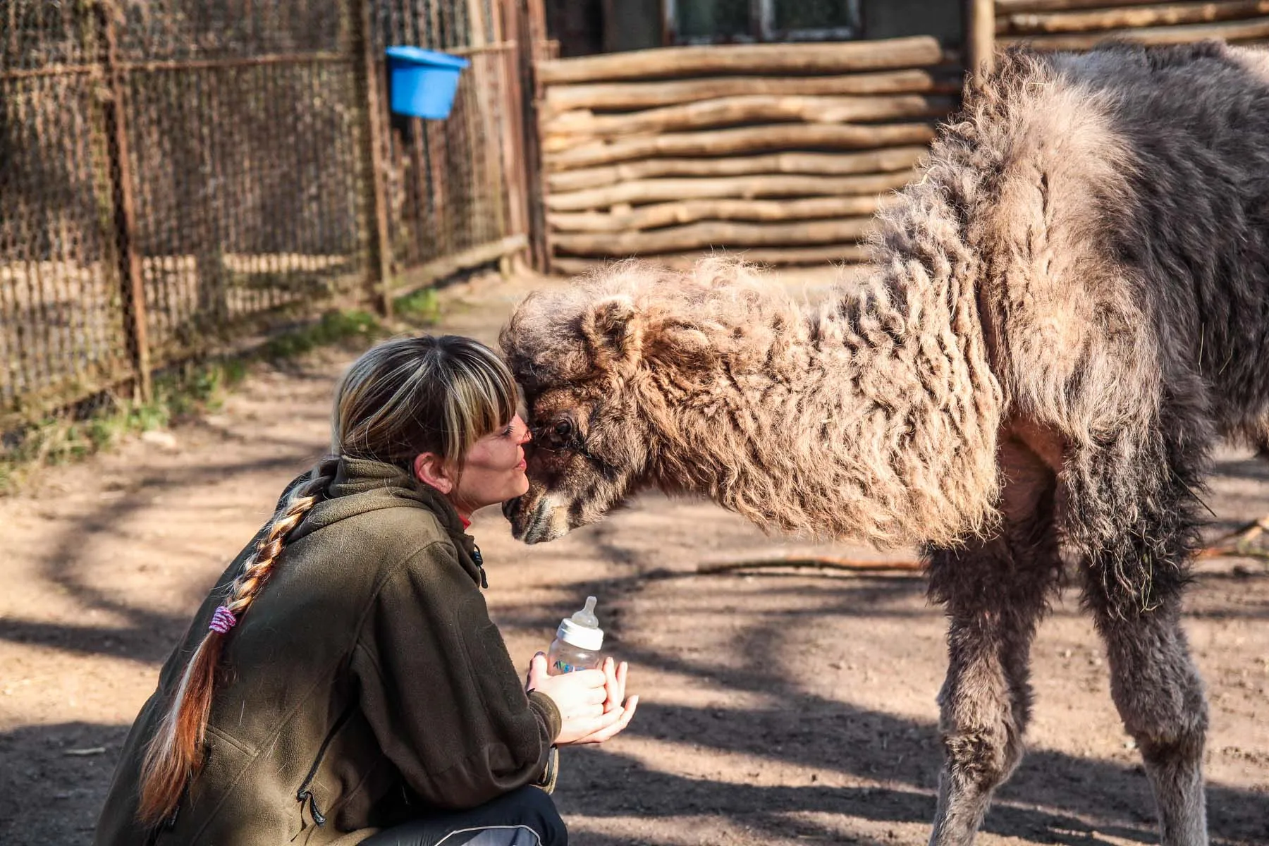 Jaunasis kupranugaris