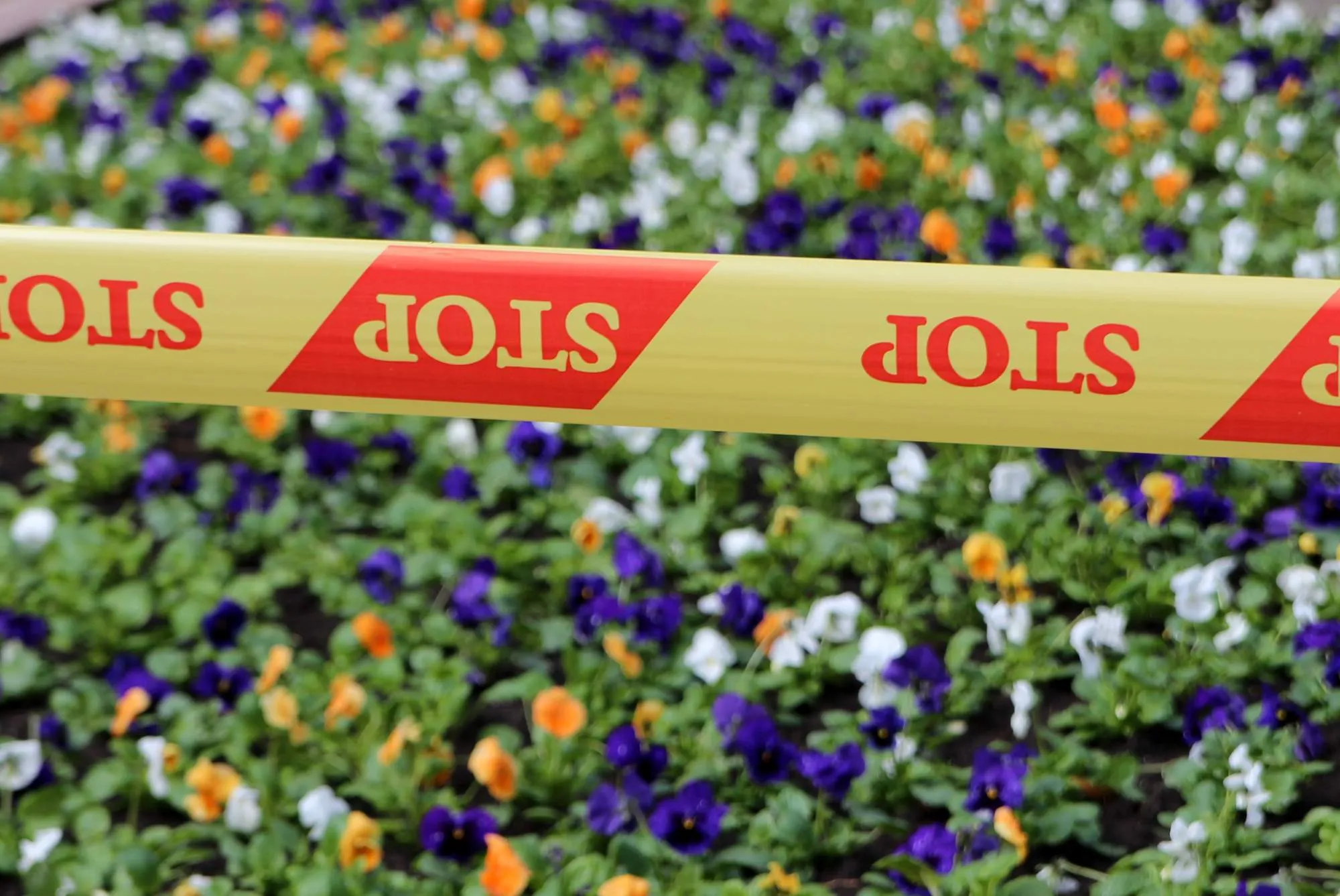 Pranešta apie sprogmenį Kauno savivaldybėje