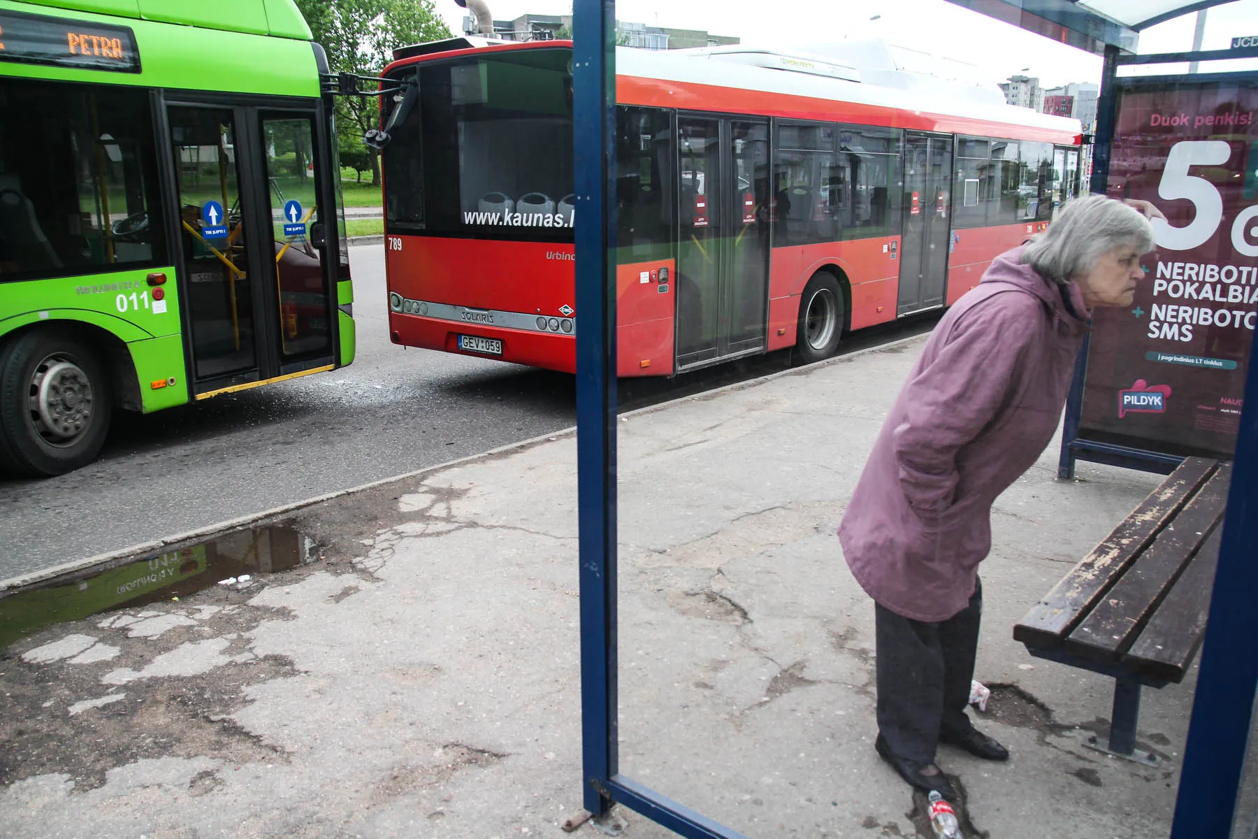 Troleibuso ir autobuso avarija