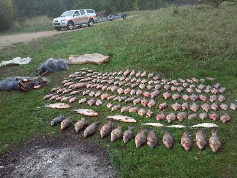 Brakonierių laimikis