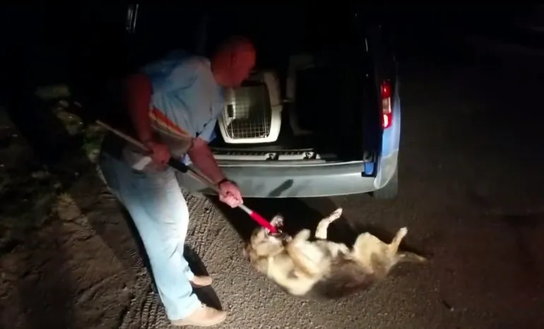 Gyvūnų globėjai šokiravo