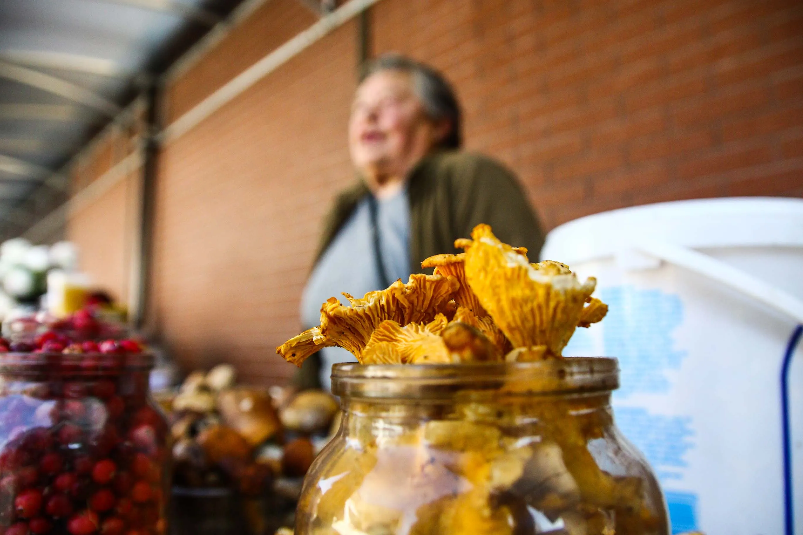 Turguje parduodami grybai