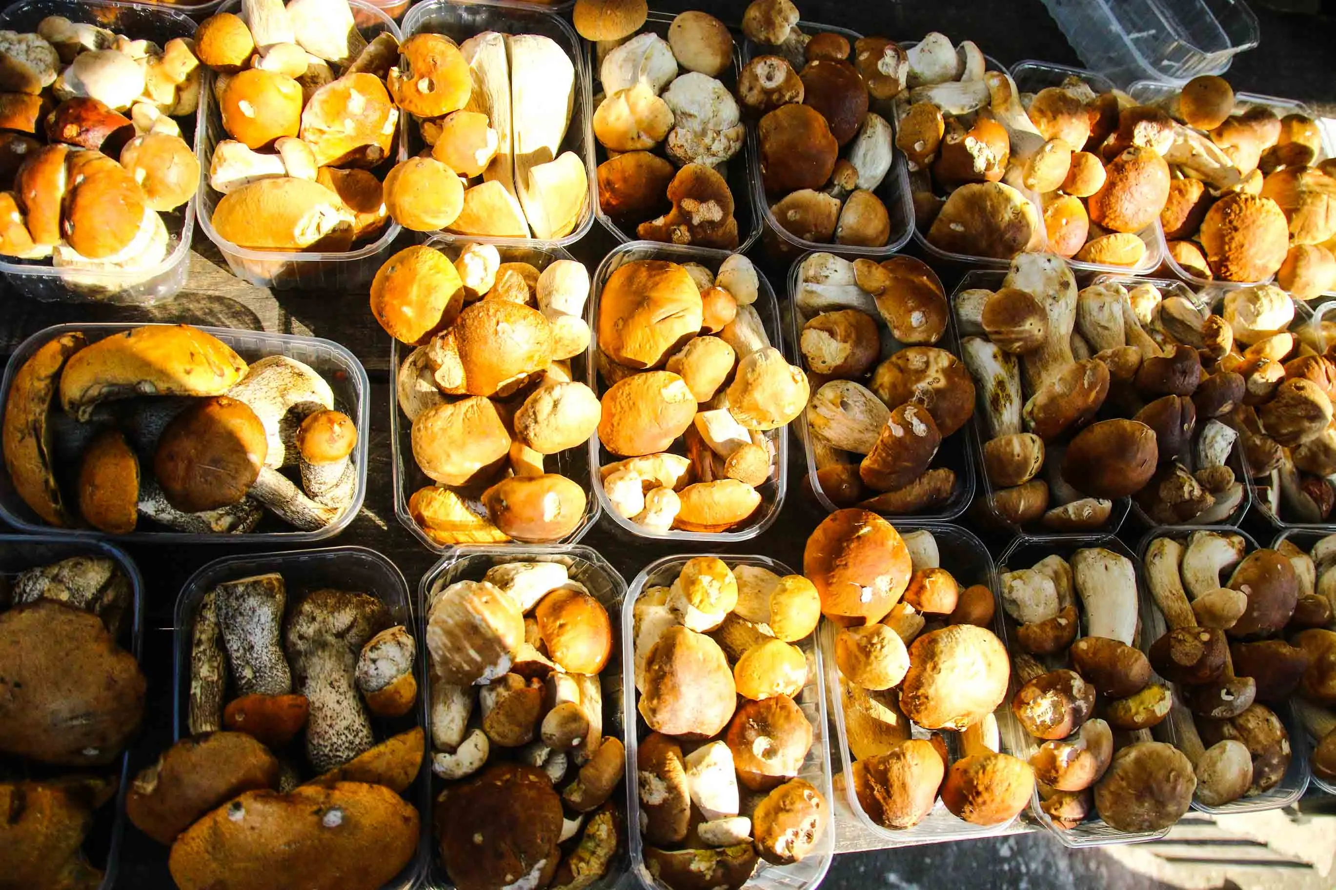 Turguje parduodami grybai