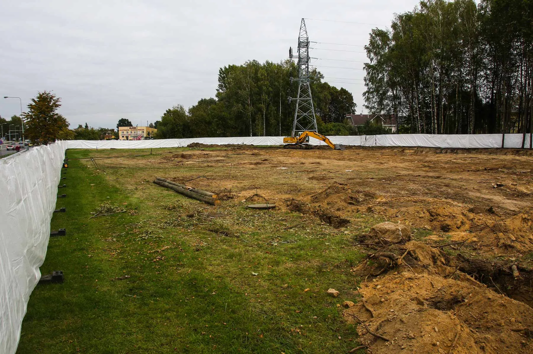 Išpjauti medžiai Aleksote