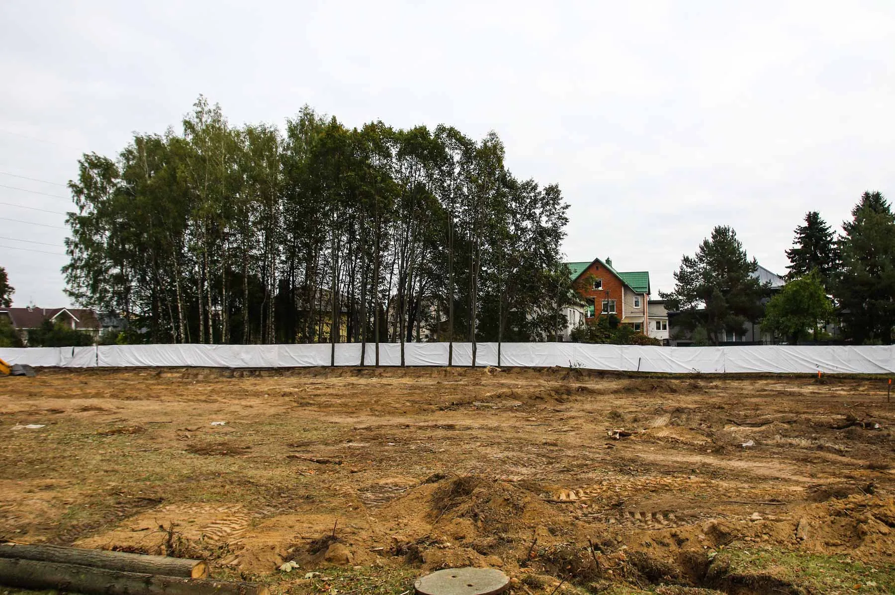 Išpjauti medžiai Aleksote