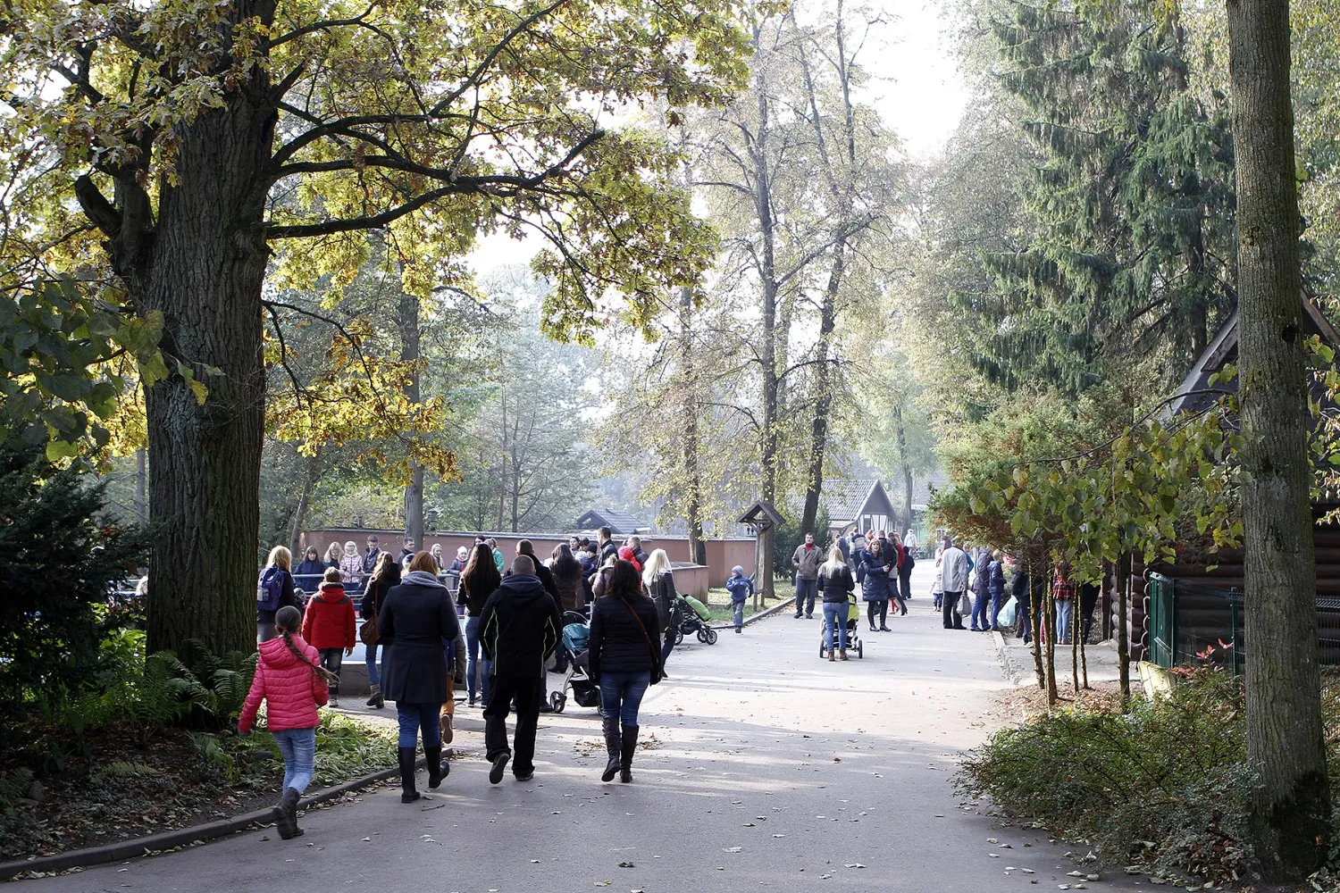 Rudens palydėtuvės zoologijos sode