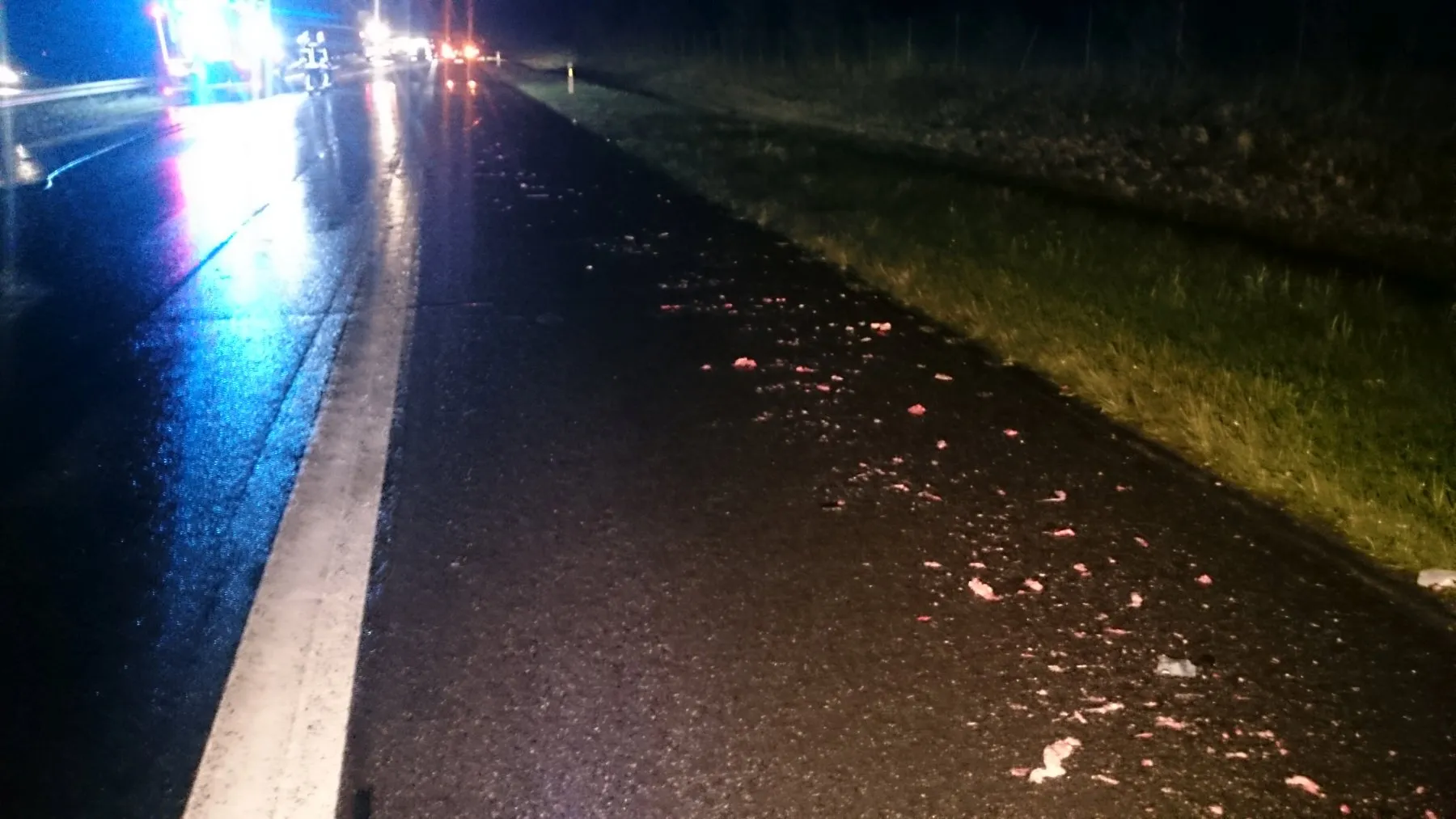 Dėl partrenktų žvėrių uždarytas magistralinis kelias