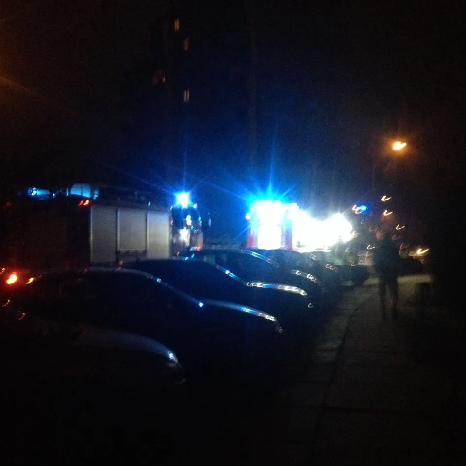 Padegtas policijos automobilis