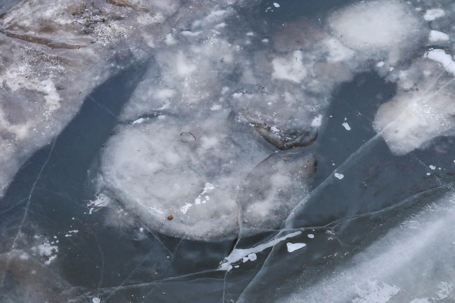 Neris ties Varnių tiltu