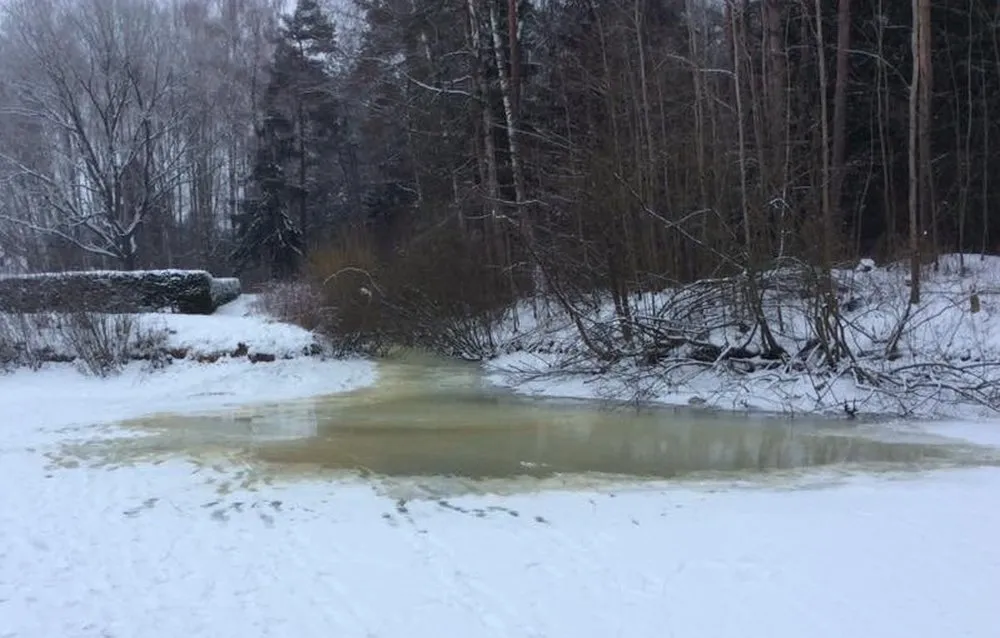 Nuotekos Šveicarijoje esančiame tvenkinyje