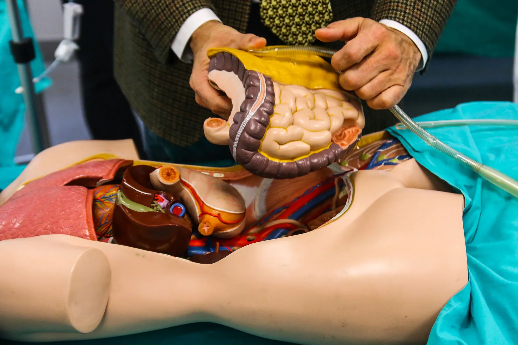 Įteisintas donorystės po širdies sustojimo modelis