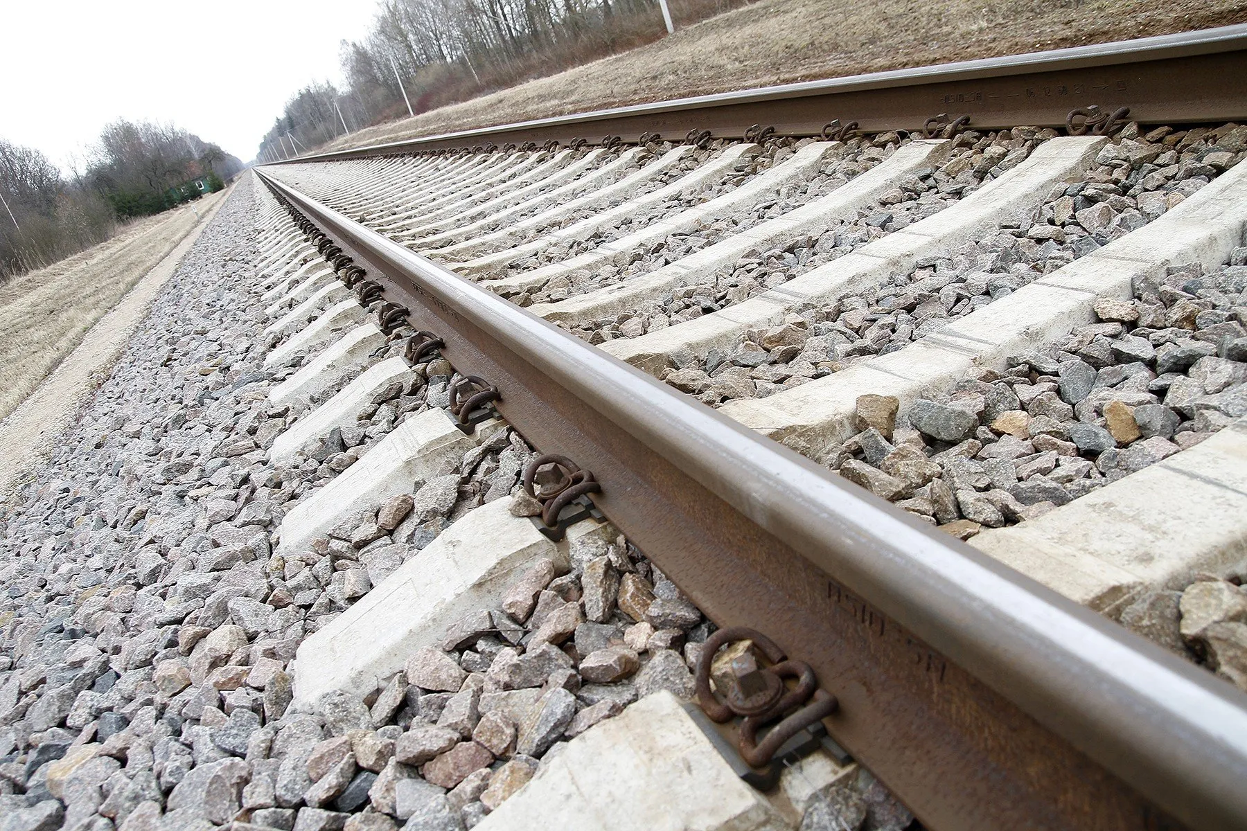 "Rail Baltica" eis per naujai pirktus namus Neveronyse