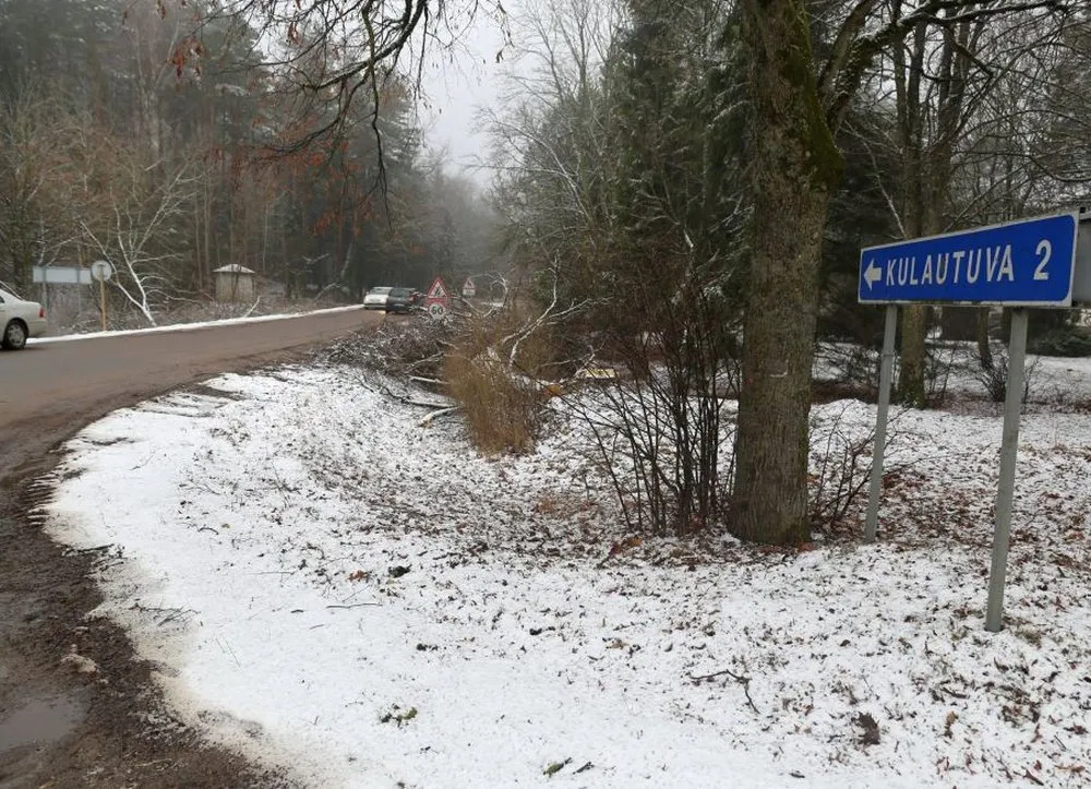 Prasideda kelio į Kulautuvą rekonstrukcija