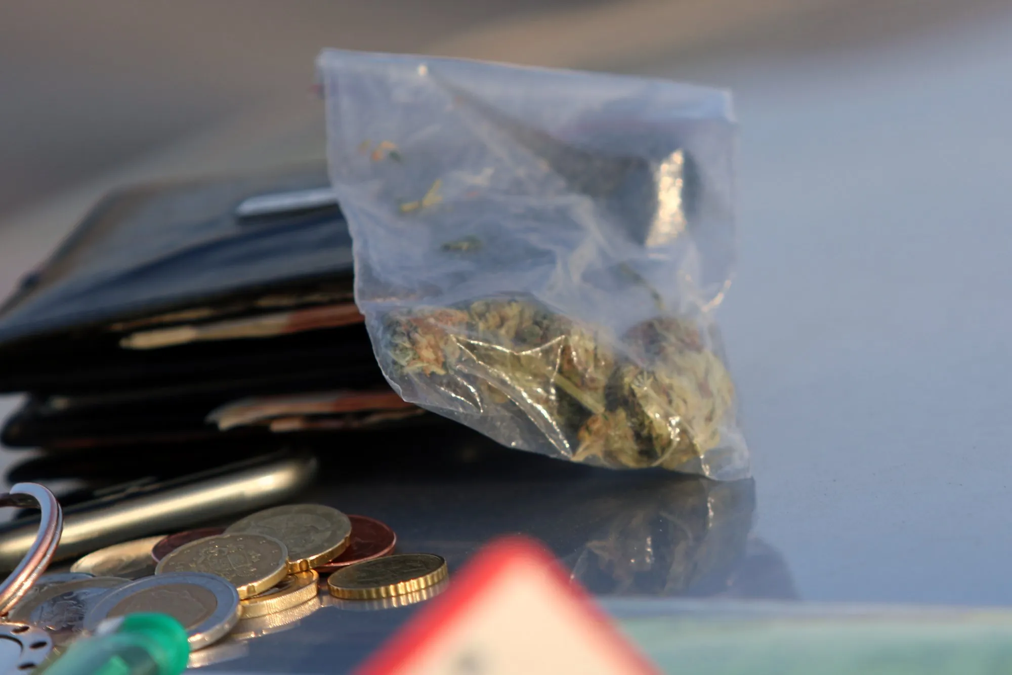 Vilniaus kelių policijos pareigūnų reidas Kaune, kanapės