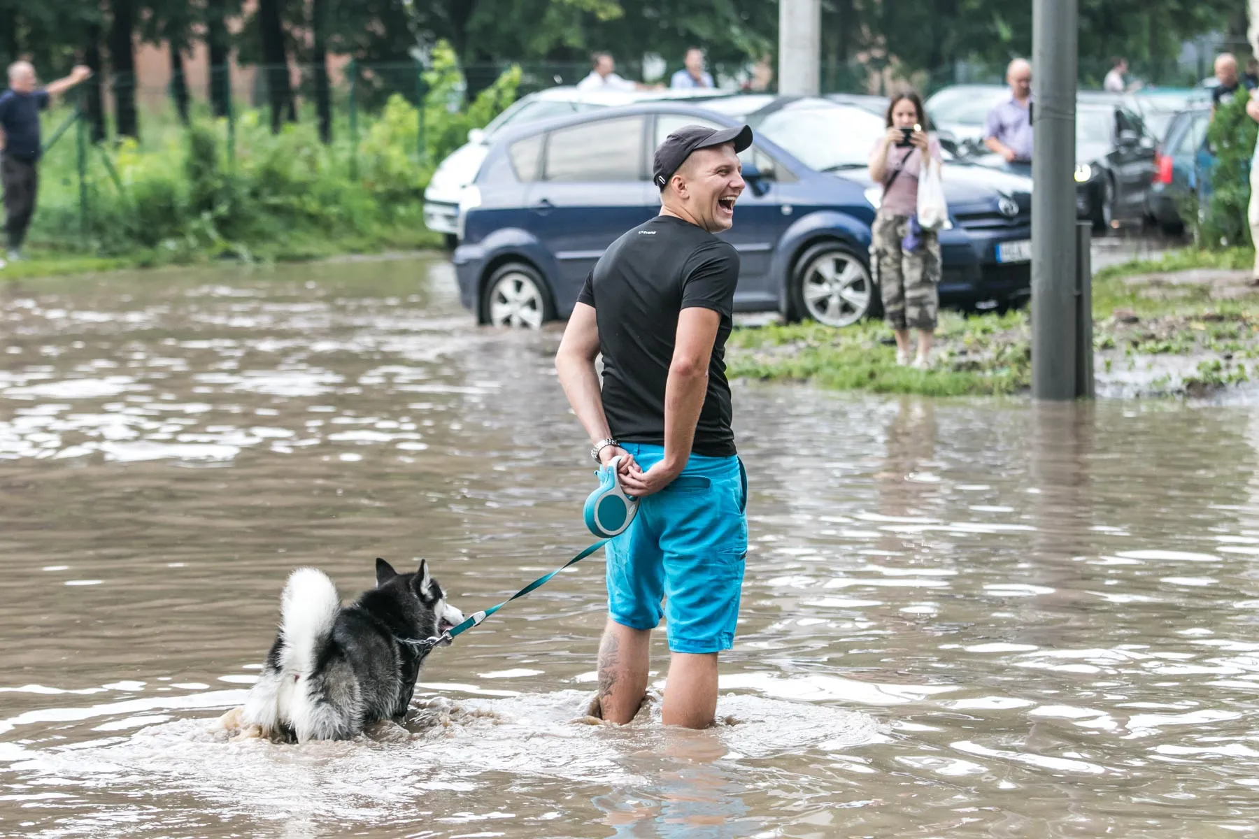 Liūtis Dainavos rajone