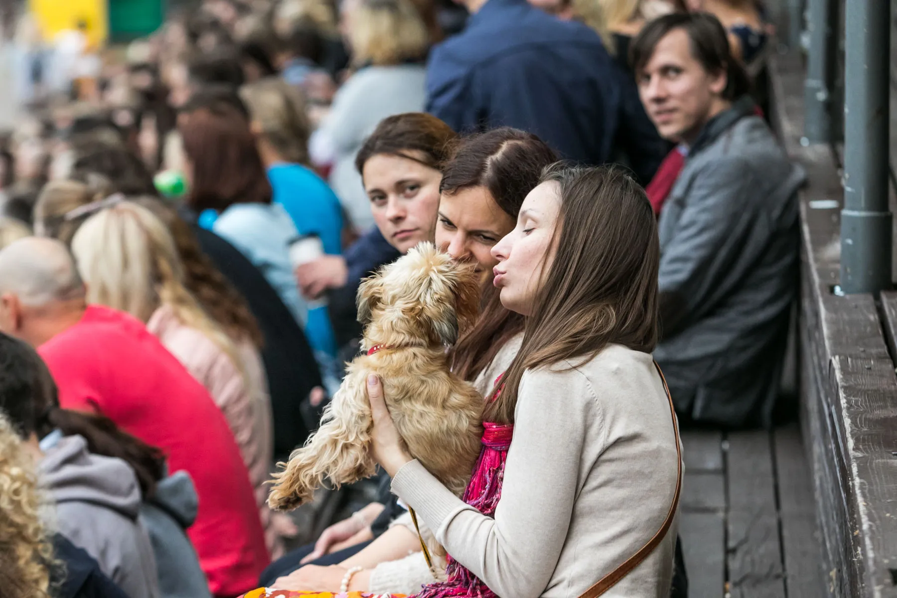 Senamiestis, renginys