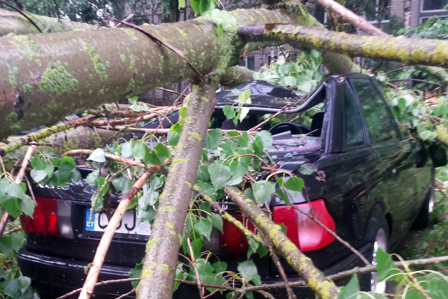 Po liūties ir vėtros Kaune