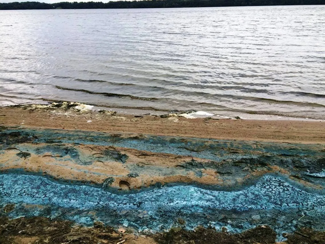 Mėlynos Kauno marių pakrantės