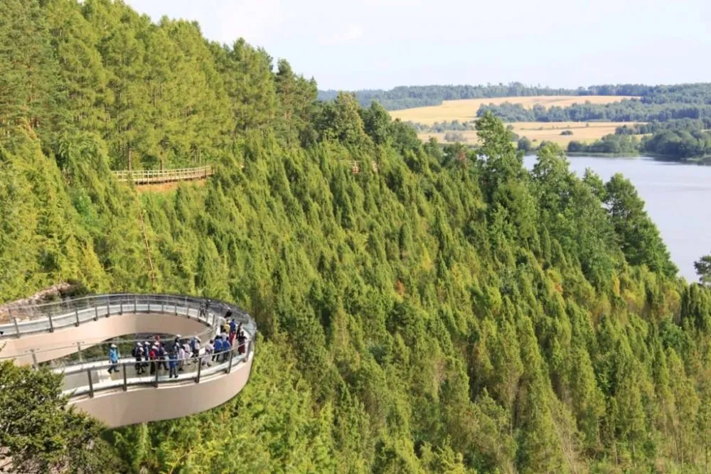 Arlaviškių takas 01