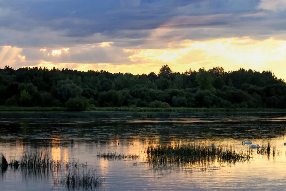 Nemunas ties Kauno hidroelektrine