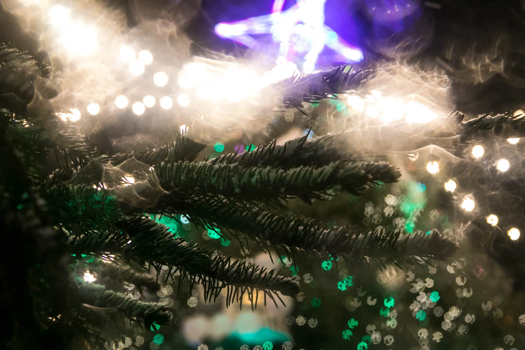 Kauno eglę papuošė sniegas