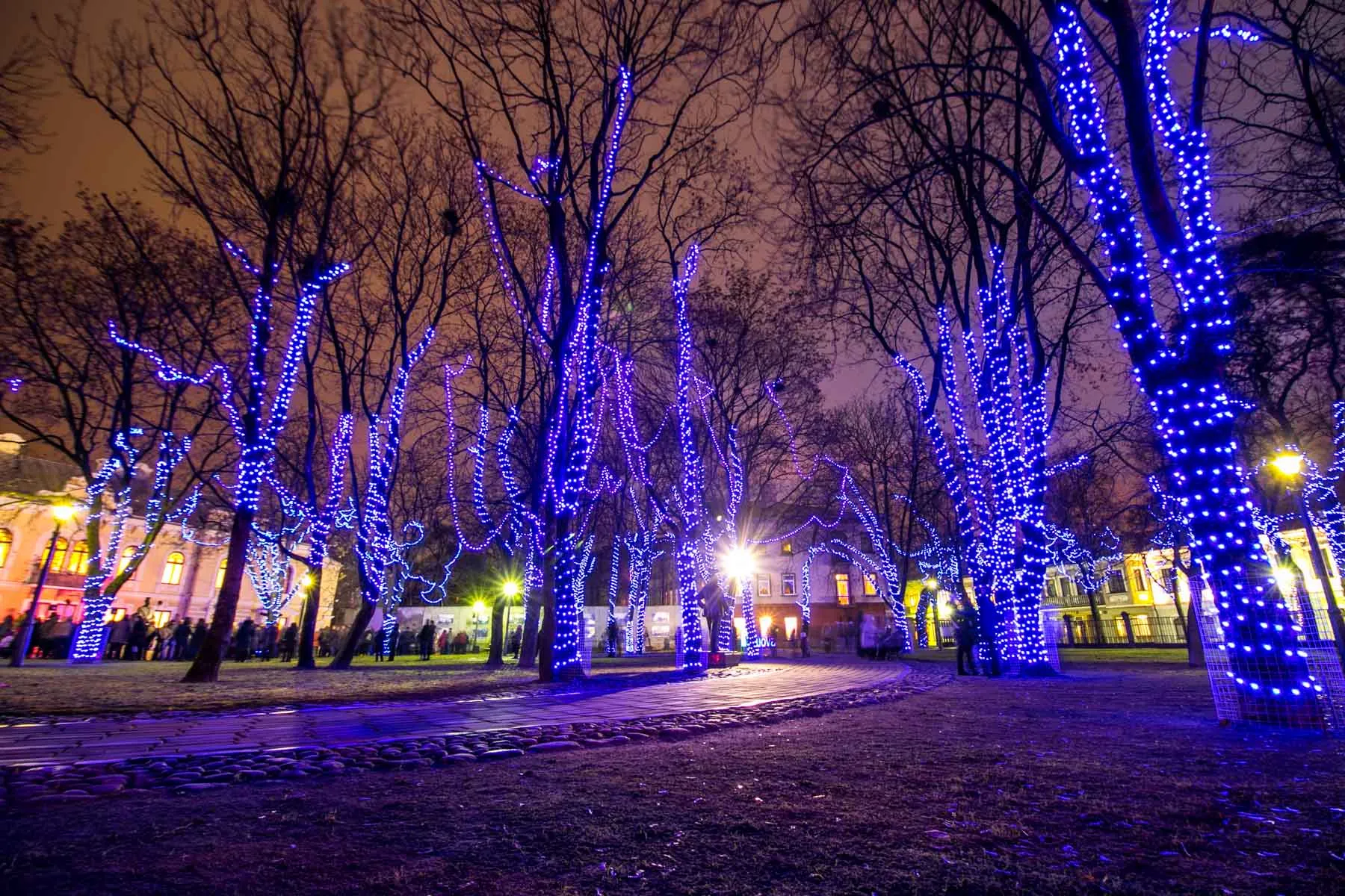 Prezidentūros kiemelis nušvito mėlynai