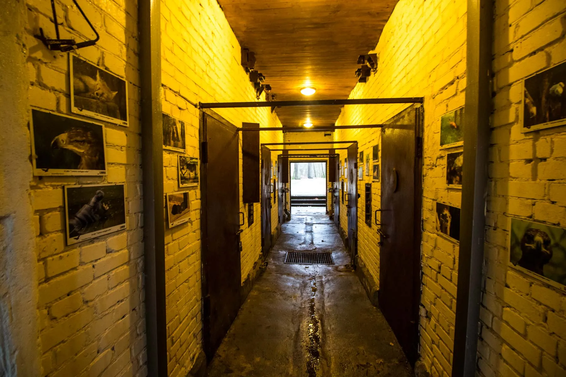 Lietuvos zoologijos sodas Kaune šiandien