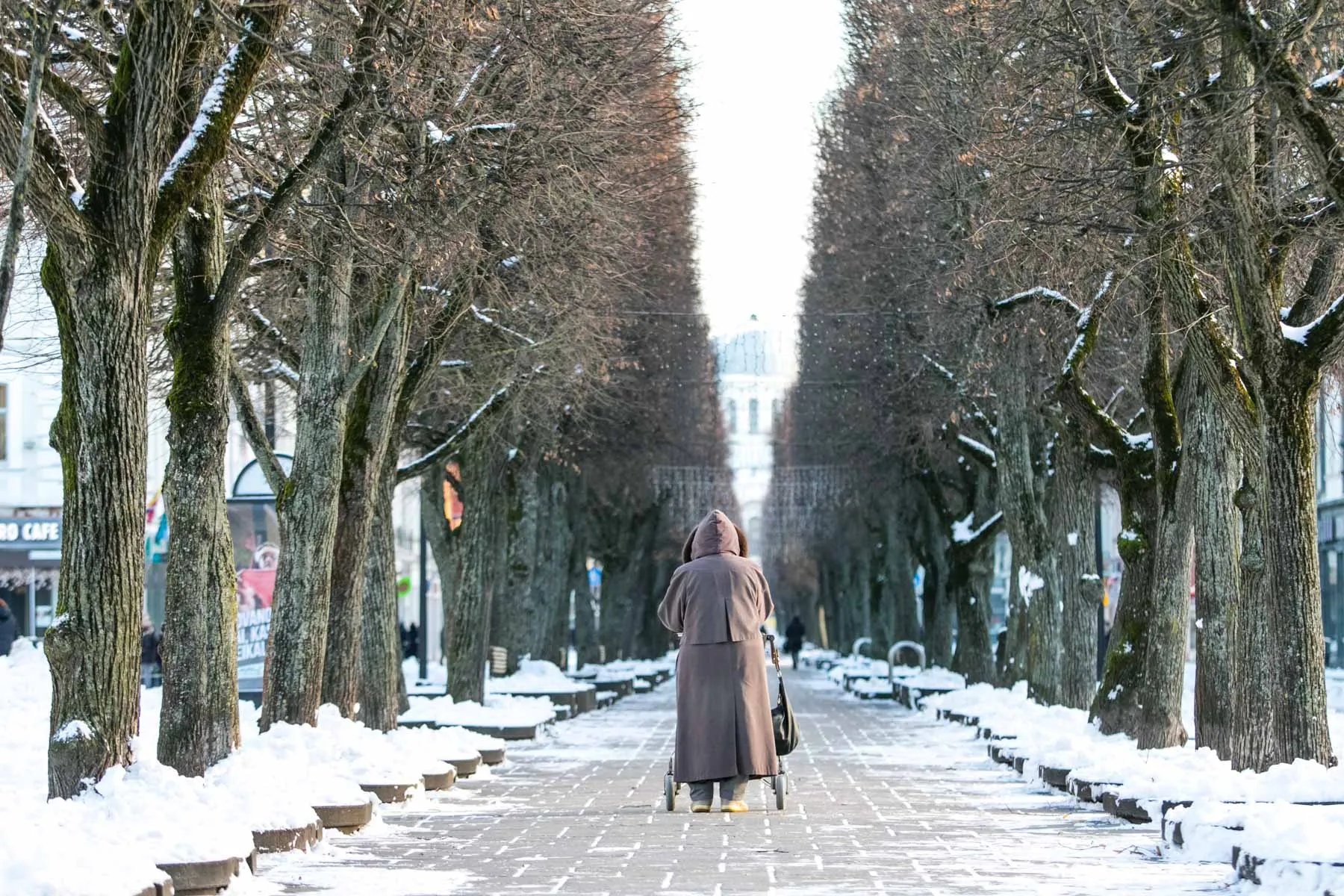 Kauniečiai šaltą žiemą