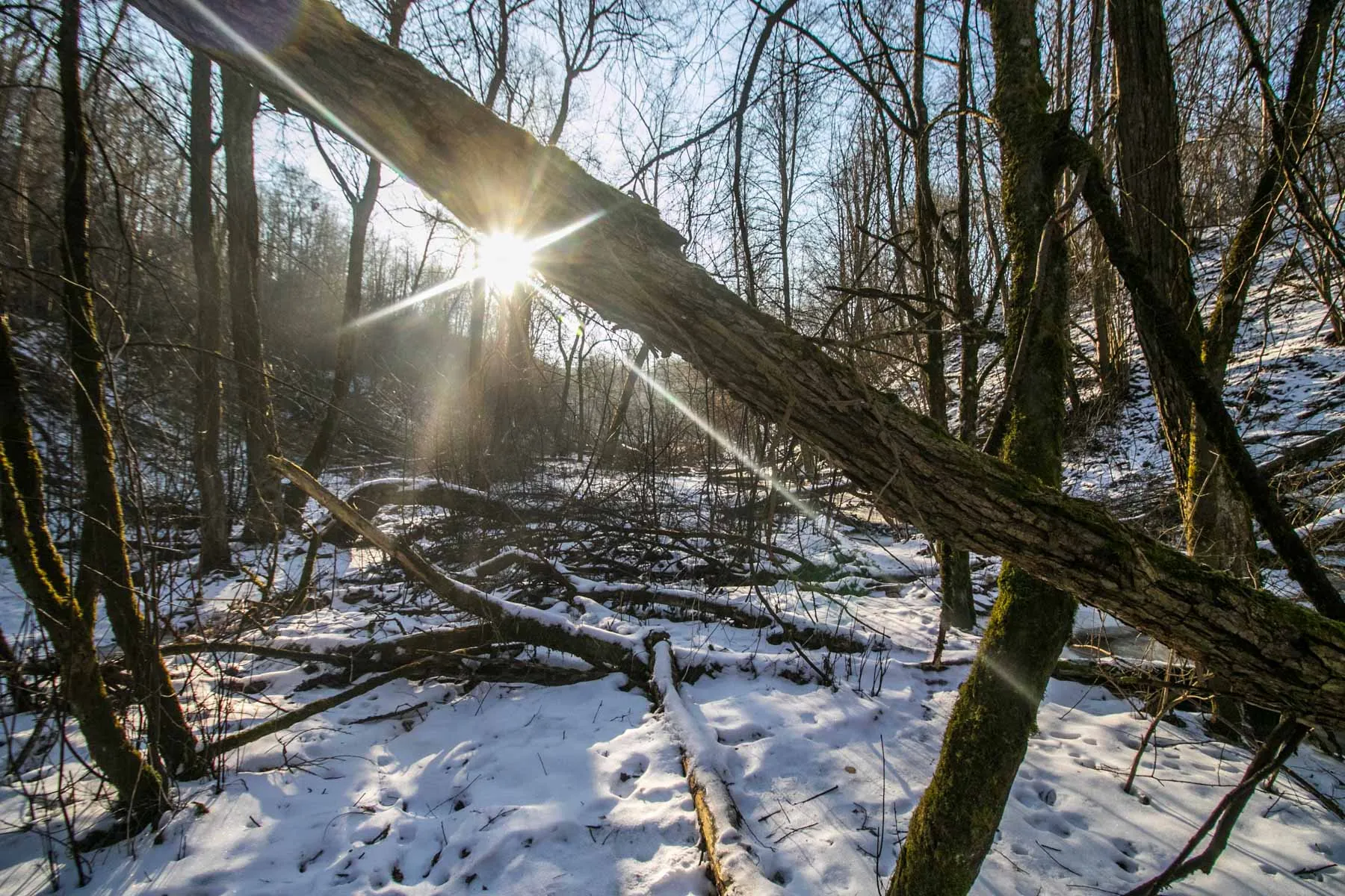 Marvelės krioklys, žiema