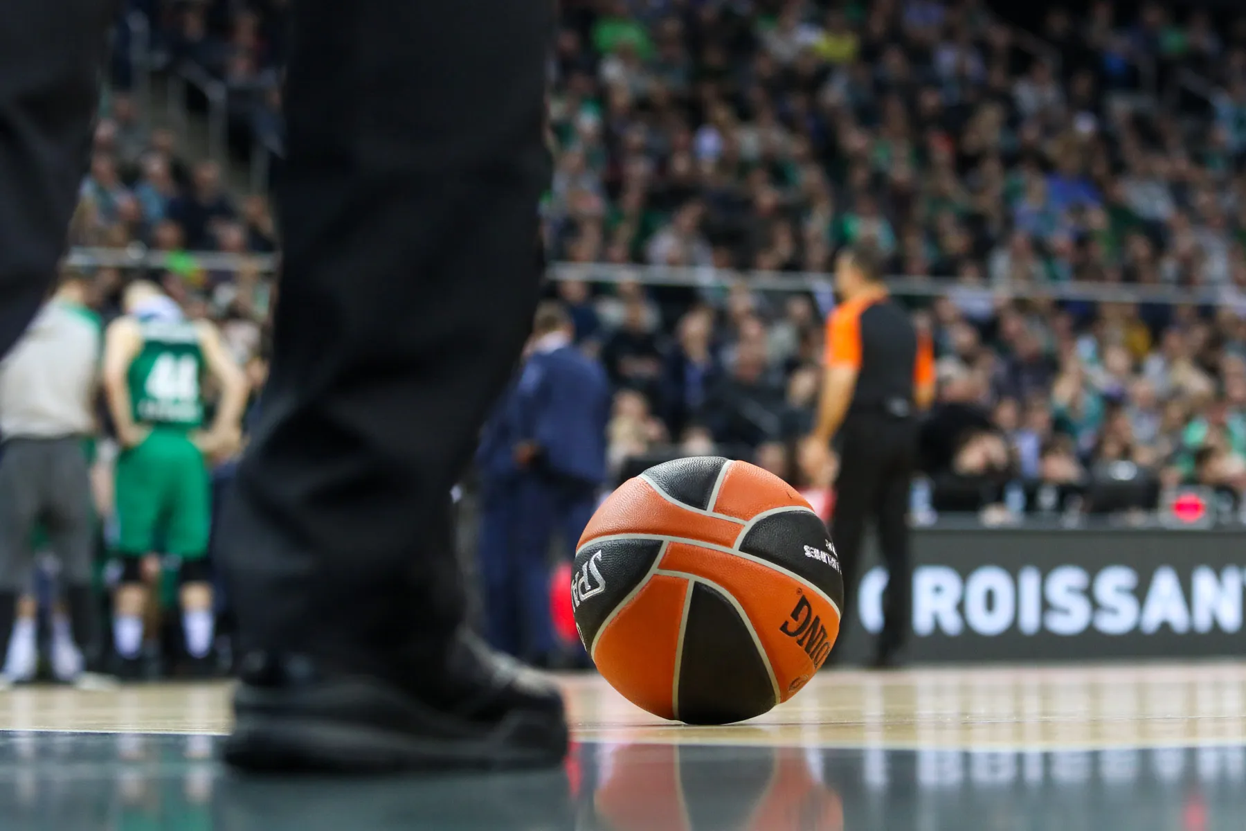 Kauno "Žalgiris" - Atėnų "Panathinaikos"