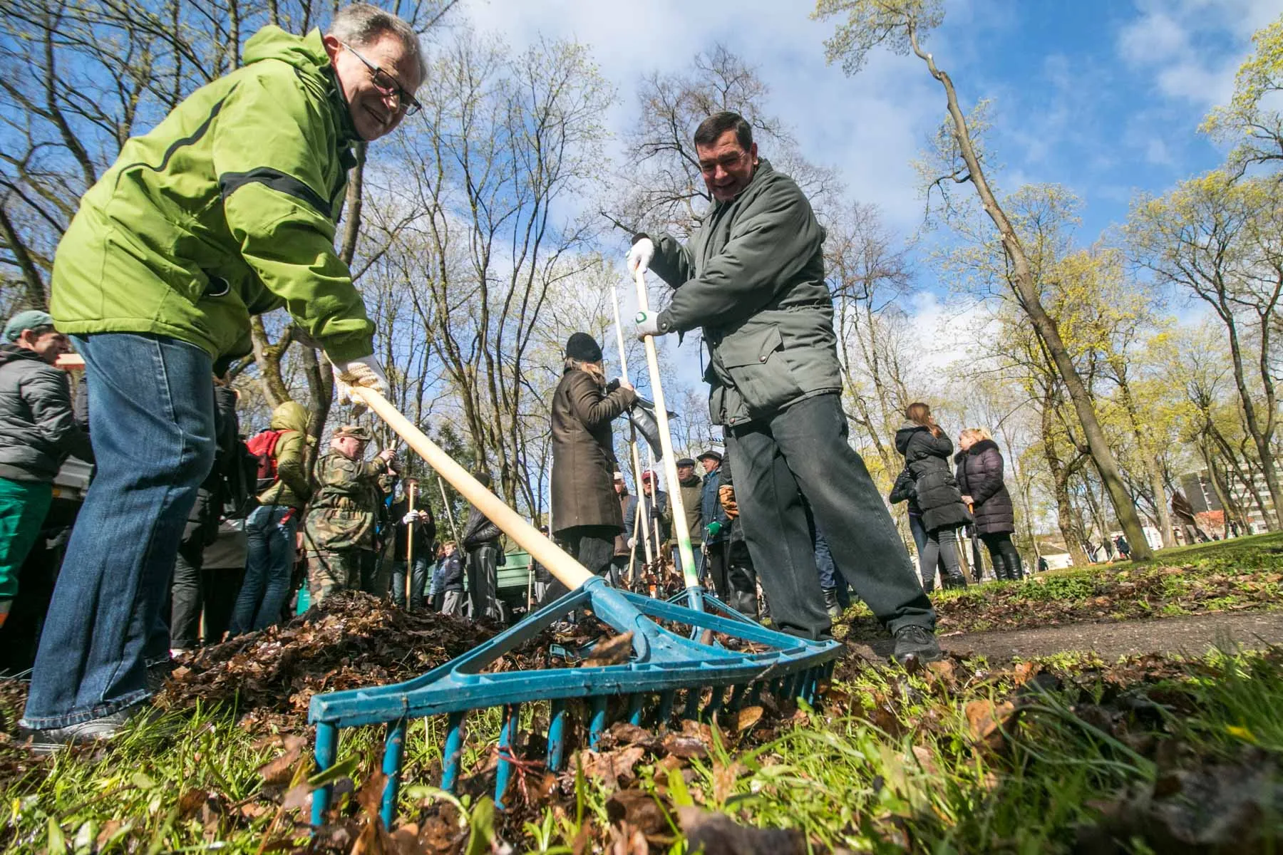 Akcija "Darom" ramybės parke