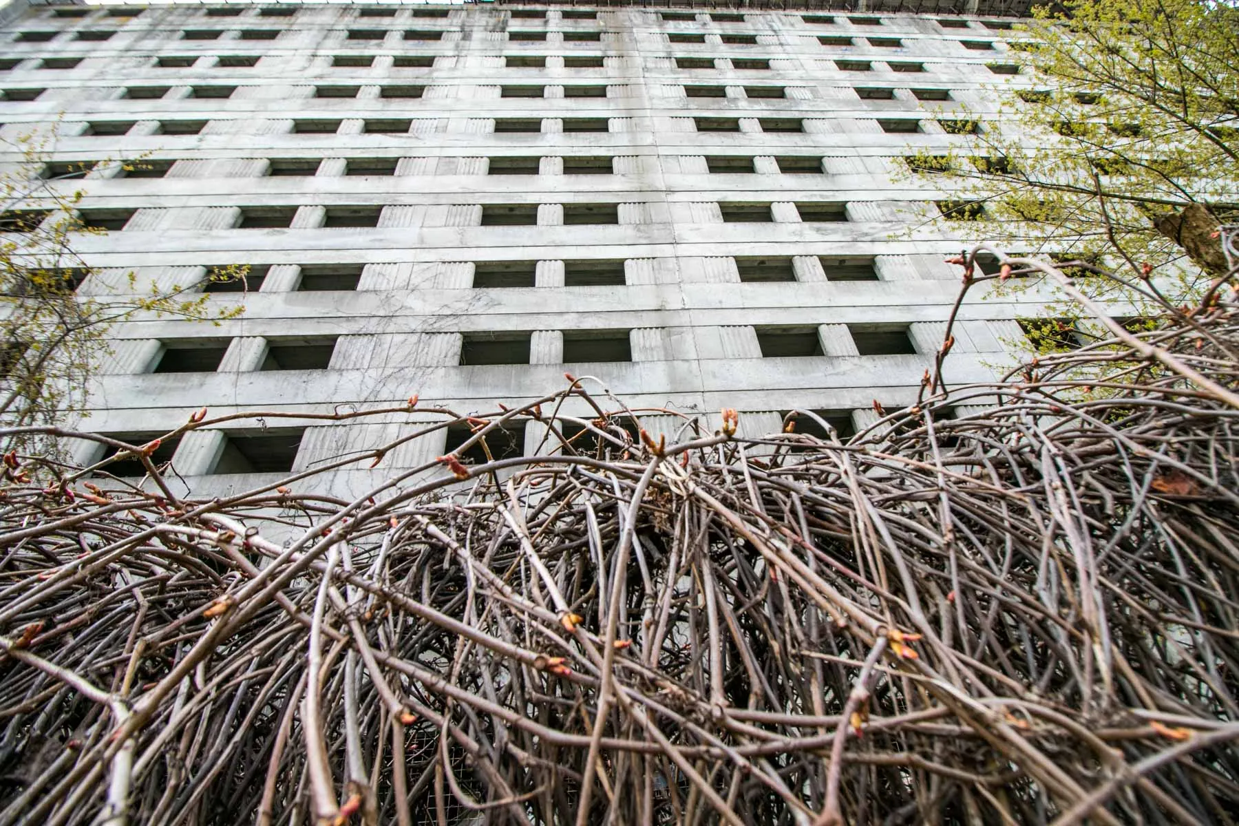 "Britanikos" viešbutis