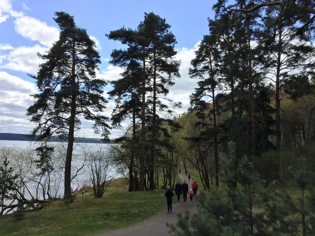 Žygis Pažaislio šile