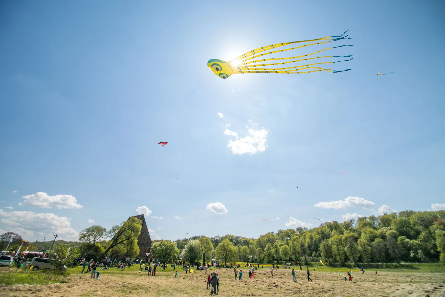 Aitvarų šventė Žapyškyje