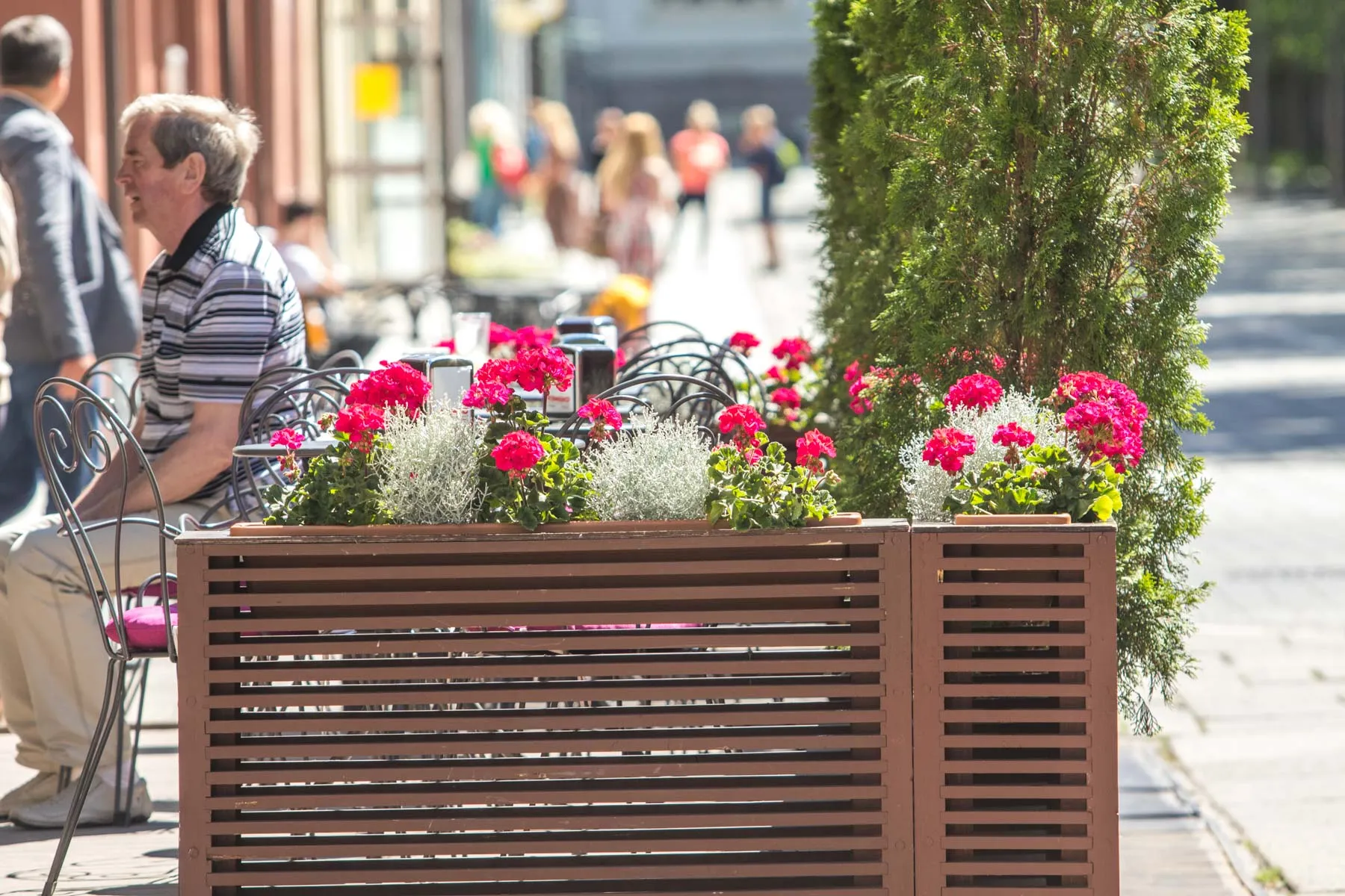 Gėlynai Kauno centre