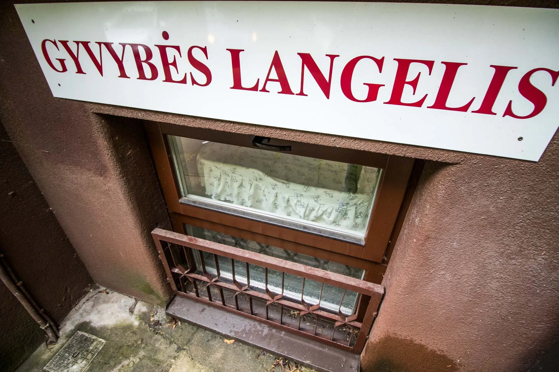 P. Mažylio gimdymo namai