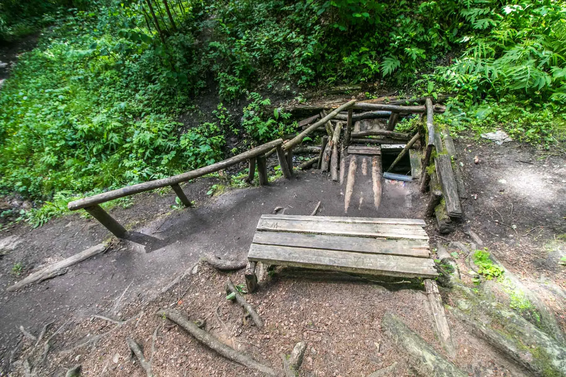 Kleboniškio miškas