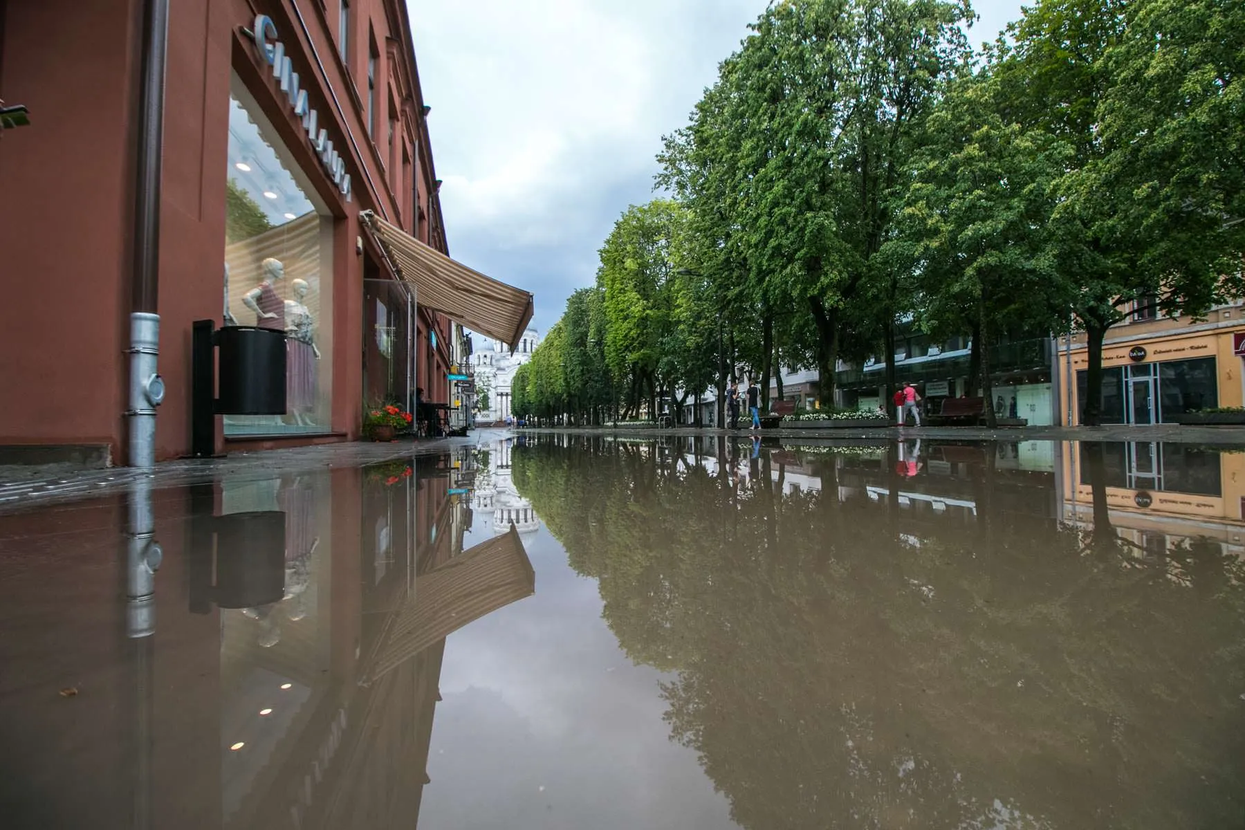 Patvinusi Laisvės alėja