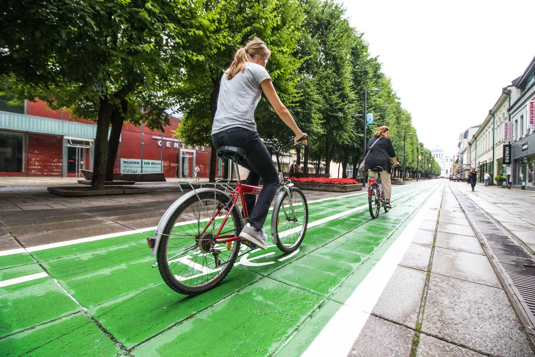 Dviračių takas Laisvės alėjoje